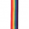 DADDARIO POLY RAINBOW STRAP - PASEK GITAROWY