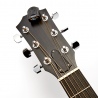 DADDARIO PW-CT-12 - STROIK DO GITARY