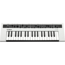 YAMAHA REFACE CS