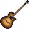 IBANEZ AEG50-DHH GITARA ELEKTROAKUSTYCZNA