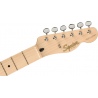 FENDER SQUIER PARANORMAL CABRONITA TELECASTER THINLINE MN GPG 2TS - GITARA ELEKTRYCZNA
