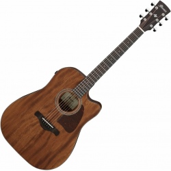 IBANEZ AW1040CE-OPN ARTWOOD...