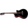 IBANEZ AEG5012-BKH - GITARA ELEKTROAKUSTYCZNA 12-STRUNOWA