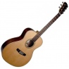 DOWINA BORDEAUX GA - GITARA AKUSTYCZNA