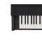 Polecane Instrumenty Klawiszowe