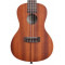 Polecane Ukulele