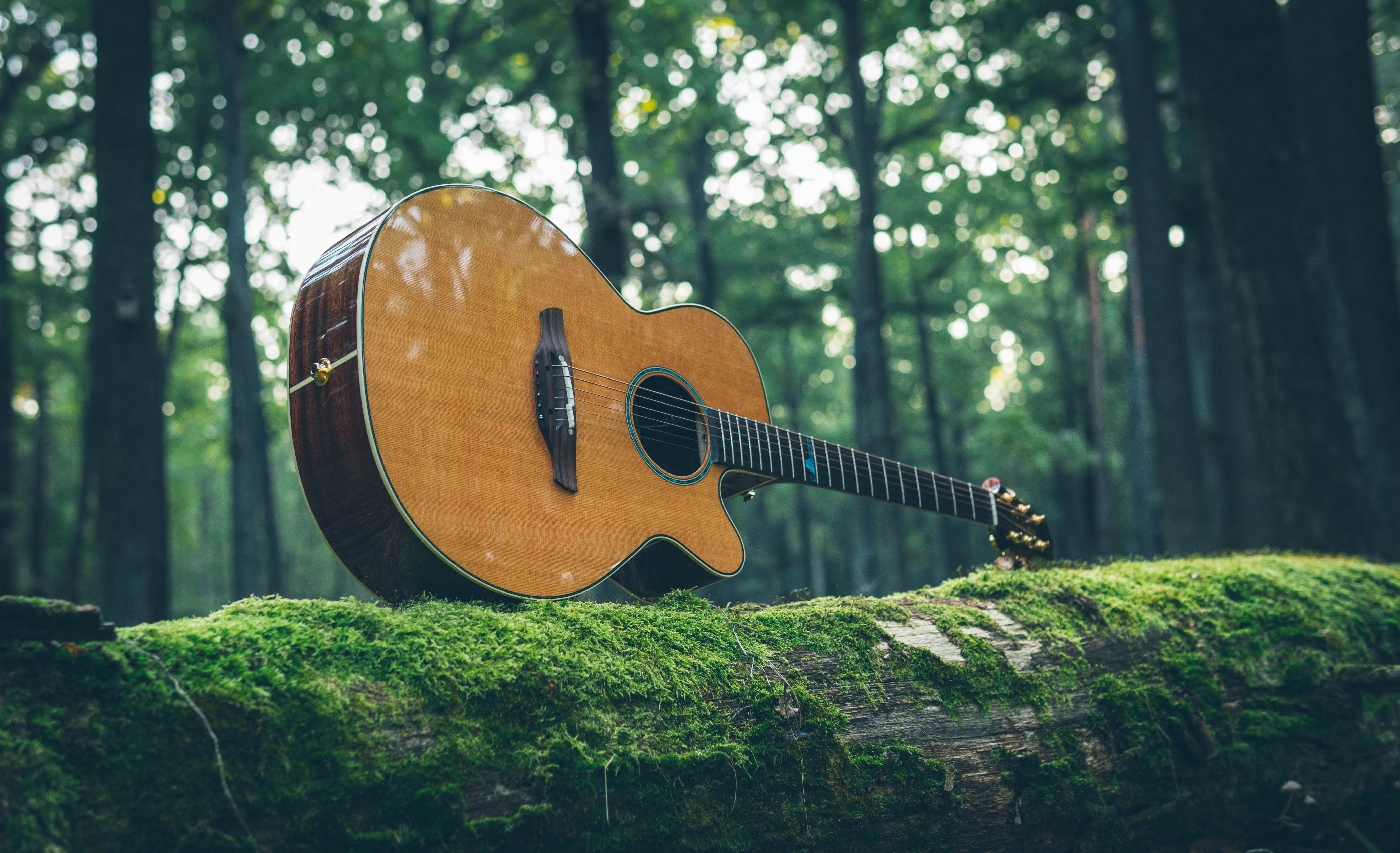 Gitara akustyczna Takamine