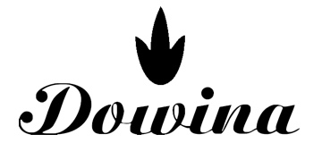 DOWINA