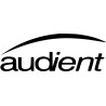 AUDIENT