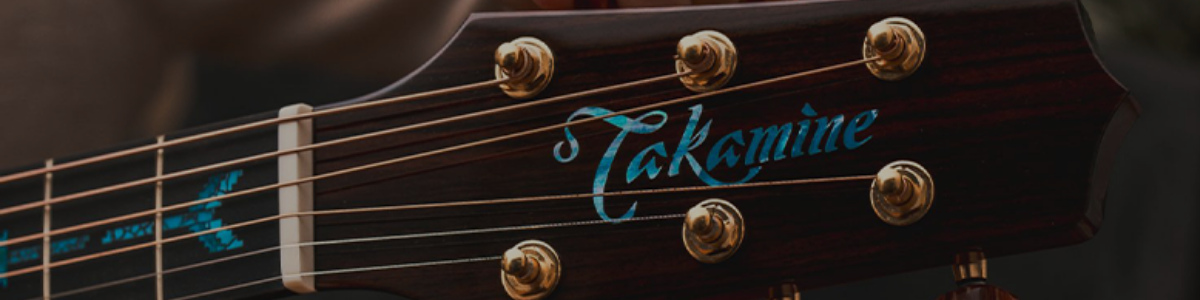 Jak zbudowana jest gitara?